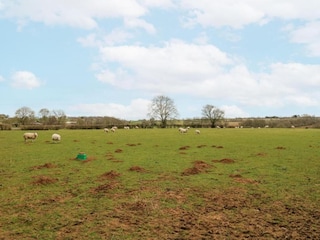 Chalet Buckingham Umgebung 19