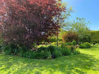 Chalet Buckingham Environnement 19