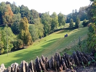 Chalet Buckingham Environnement 32