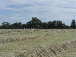 Chalet Buckingham Entorno 34