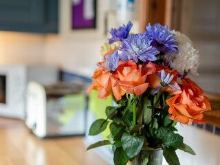 Vakantiehuisje Penzance  25