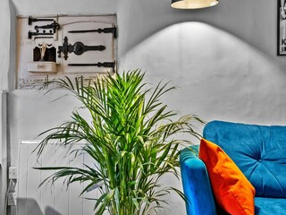 Casa vacanze Launceston Caratteristiche 10