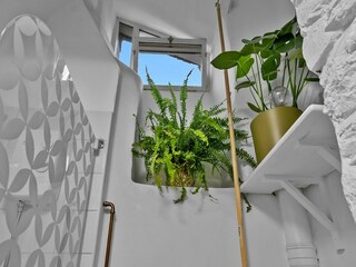 Casa vacanze Launceston Caratteristiche 21