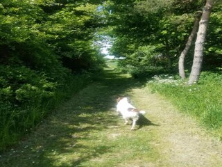 Vakantiehuisje Horncastle Omgeving 27