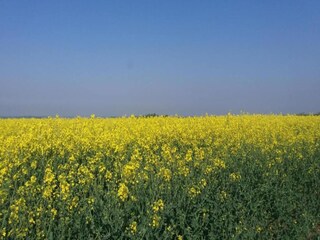 Cottage Horncastle Umgebung 32