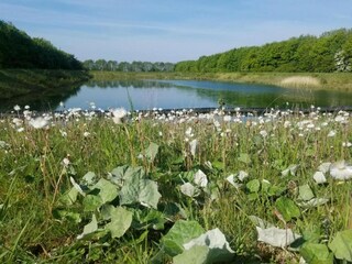 Casa vacanze Horncastle Ambiente 37