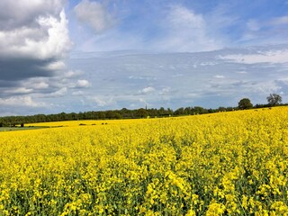 Casa vacanze Ripon Registrazione all'aperto 4