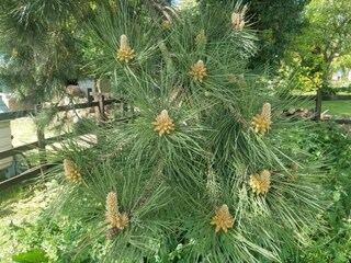 Holiday cottage Horncastle Environment 28