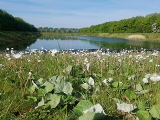 Vakantiehuisje Horncastle Omgeving 19
