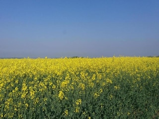 Vakantiehuisje Horncastle Omgeving 18