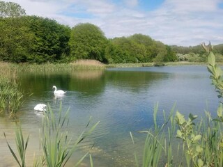 Casa de vacaciones Horncastle Entorno 34