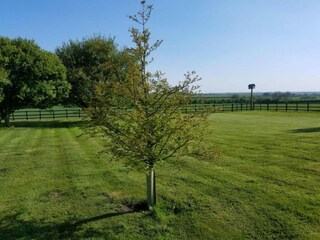Casa de vacaciones Horncastle Entorno 33