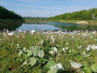 Vakantiehuisje Horncastle Omgeving 34