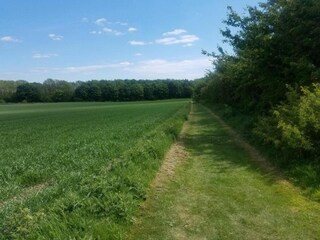 Vakantiehuisje Horncastle Omgeving 23