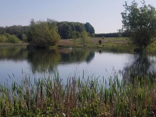 Vakantiehuisje Horncastle Omgeving 26