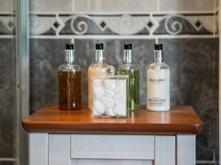 Cottage Holsworthy Ausstattung 21