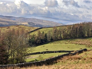 Holiday cottage Welt Environment 25