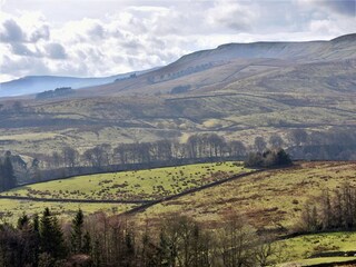 Vakantiehuisje Welt Omgeving 22
