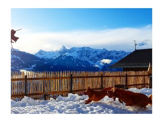 das eingzäunte Grundstück ist ideal für Urlaub m. Hund