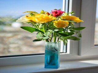 Casa per le vacanze Marazion  37