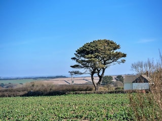 Casa de vacaciones Marazion Grabación al aire libre 11