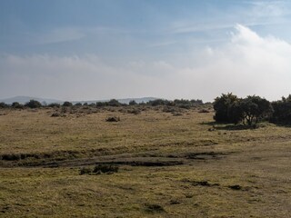 Maison de vacances St. Breward  25