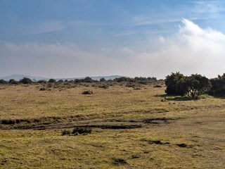 Maison de vacances St. Breward Enregistrement extérieur 4