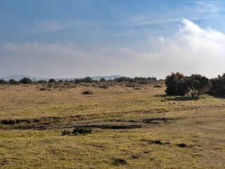 Vakantiehuisje St. Breward Buitenaudio-opname 4