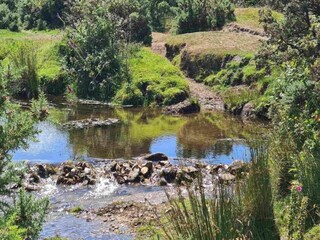 Vakantiehuisje St. Breward Omgeving 18