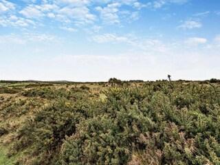 Vakantiehuisje St. Breward Omgeving 36