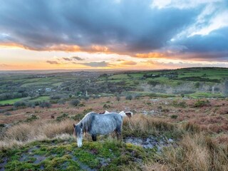 Vakantiehuisje St. Breward Omgeving 28