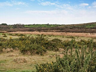 Casa de vacaciones St. Breward Entorno 40