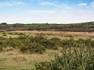 Vakantiehuisje St. Breward Omgeving 40