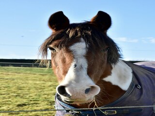 Casa de vacaciones Welt Grabación al aire libre 5