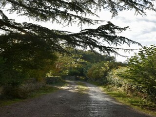 Vakantiehuisje Welt Buitenaudio-opname 4