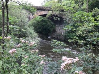 Apartment Matlock Environment 17