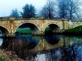 Apartment Matlock Environment 39