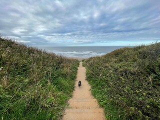 Appartamento Lealholm Ambiente 14