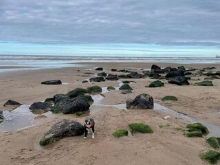 Appartement Lealholm Omgeving 23