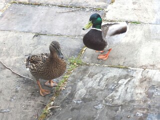 Maison de vacances Keswick Enregistrement extérieur 12