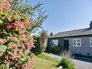 Cottage Tavistock Außenaufnahme 3