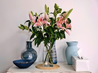 Casa de vacaciones Tavistock  24