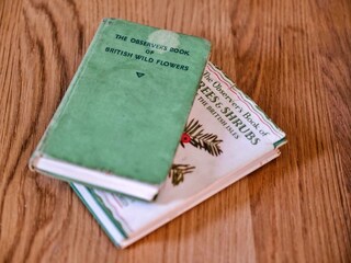 Maison de vacances Tavistock  25