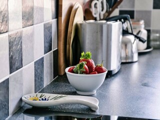 Vakantiehuisje Tavistock Kenmerken 6