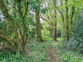 Bauernhof Clapton Außenaufnahme 19