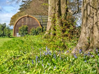 Type de propriété : Ferme Clapton Enregistrement extérieur 16