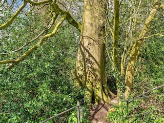 Bauernhof Clapton Außenaufnahme 4