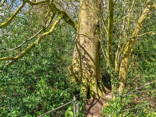 Boerderij Clapton Buitenaudio-opname 6