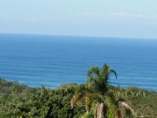 Apartment Newark Umgebung 30