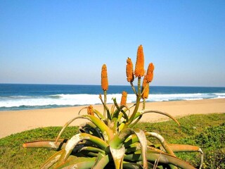 Apartment Newark Umgebung 23